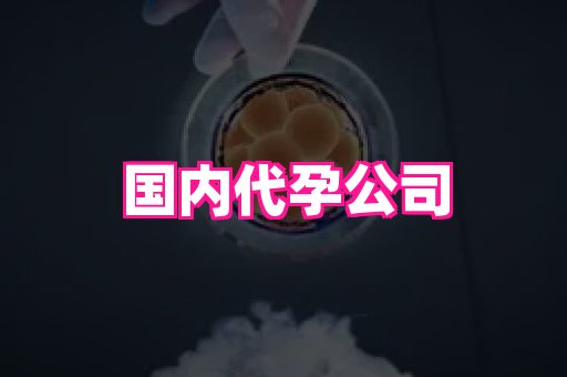 69助孕网 2